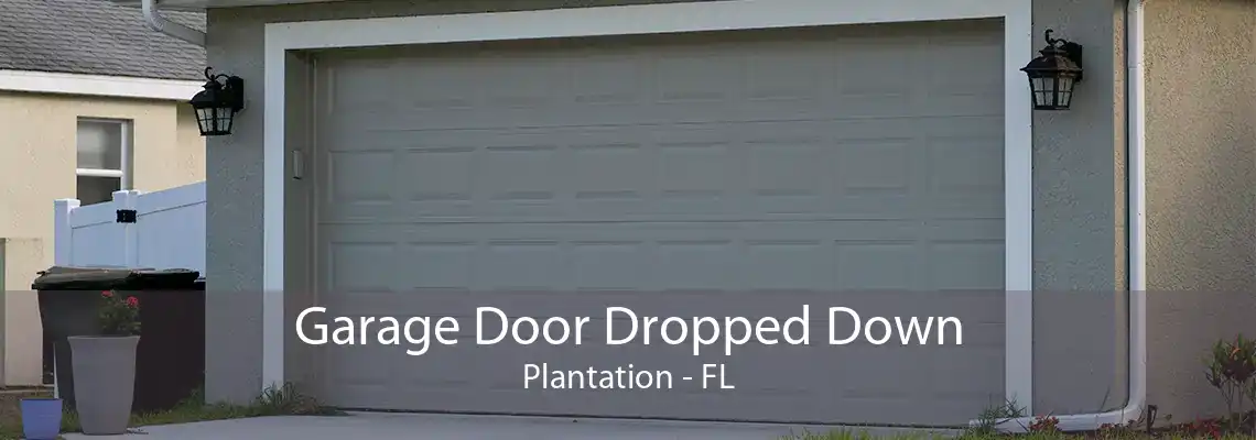 Garage Door Dropped Down Plantation - FL