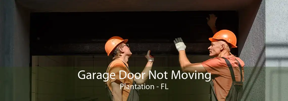Garage Door Not Moving Plantation - FL